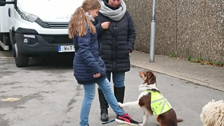 Unsere nächste Schul Kitahund Tiergestützte Pädagogik mit Hunden in